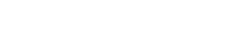Fanvestory logo white